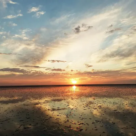 De Uul Mit Sauna Und Schwimmbad
