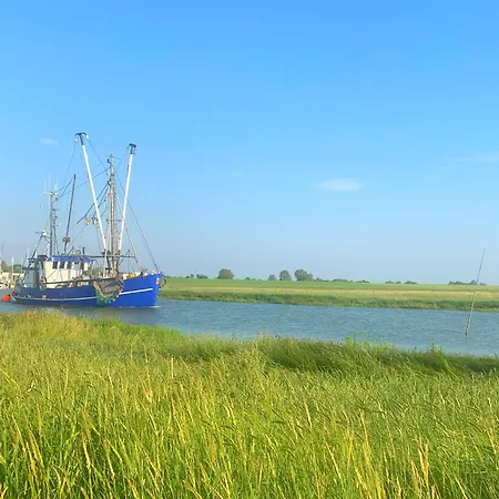 De Uul Mit Sauna Und Schwimmbad Lejlighed Dorumer Neufeld