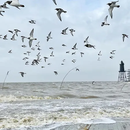 Apartment De Uul Mit Sauna Und Schwimmbad *