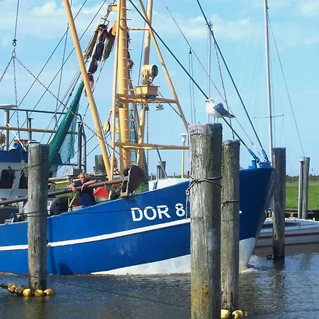 Apartment De Uul Mit Sauna Und Schwimmbad Dorumer Neufeld