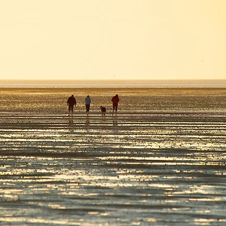 De Uul Mit Sauna Und Schwimmbad Apartment *