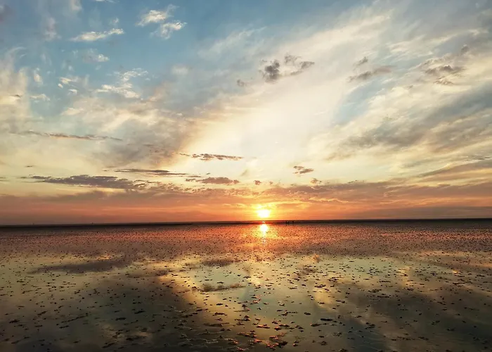 De Uul Mit Sauna Und Schwimmbad