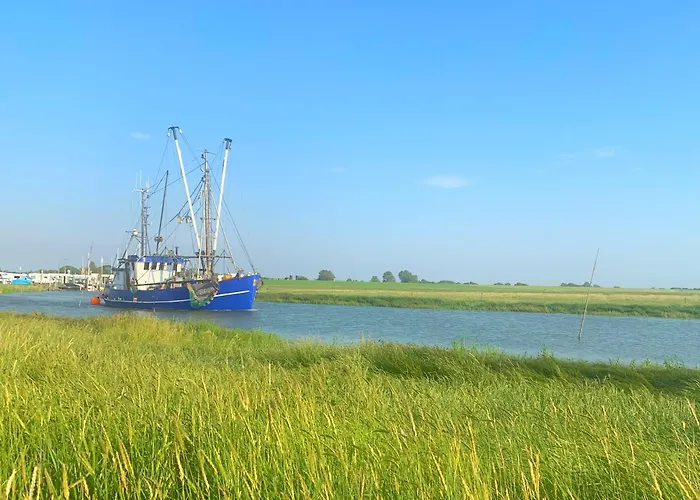 De Uul Mit Sauna Und Schwimmbad Lejlighed Dorumer Neufeld
