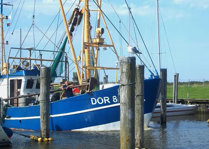 Lejlighed De Uul Mit Sauna Und Schwimmbad Dorumer Neufeld