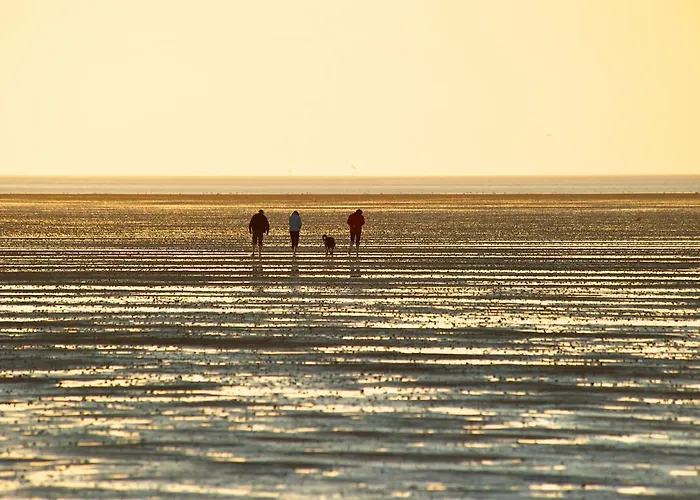 De Uul Mit Sauna Und Schwimmbad Lejlighed *